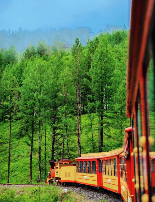 大兴安岭自由行怎么玩最尽兴？-第1张图片-星月文旅