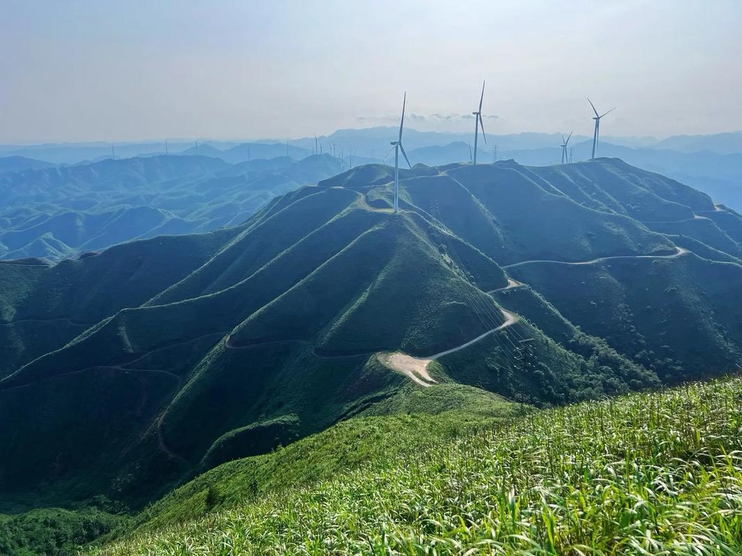 广西宾阳有哪些值得一游的景点?-第2张图片-星月文旅 广西宾阳有哪些值得一游的景点?-第2张图片-星月文旅