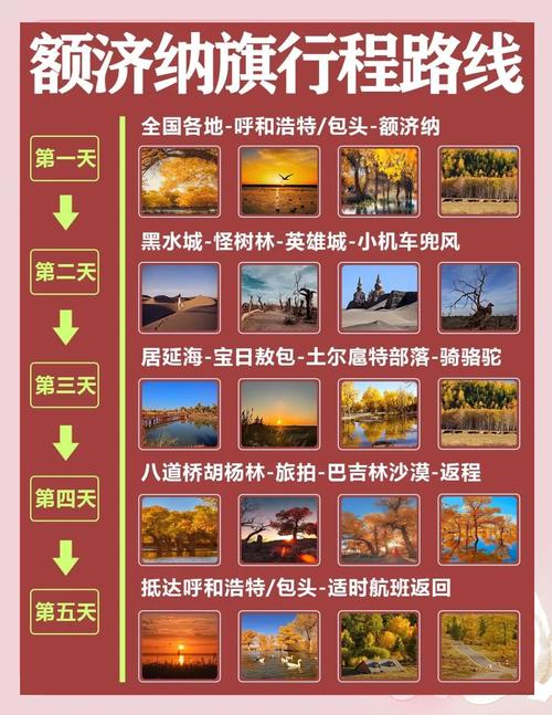 额济纳旗旅游怎么玩最尽兴？-第1张图片-星月文旅