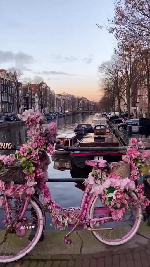 荷兰阿姆斯特丹旅游怎么玩最地道？-第1张图片-星月文旅