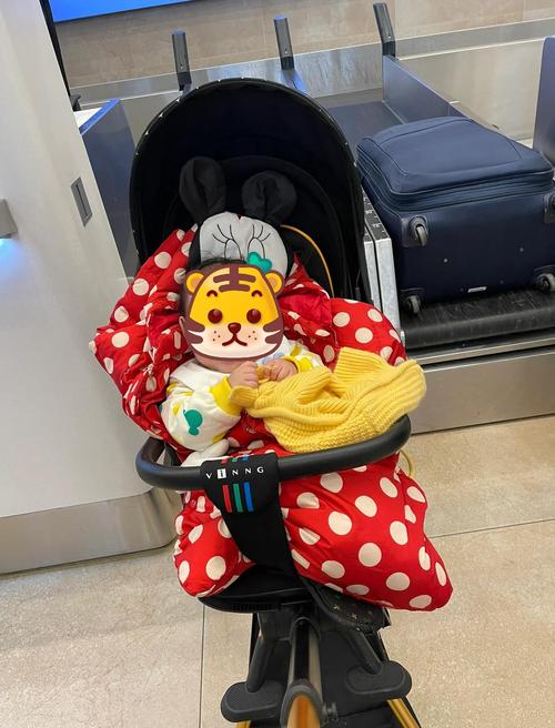 10个月宝宝能自驾游吗？要注意什么？-第2张图片-星月文旅