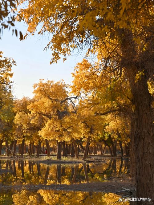 阿拉善盟旅游景点排名有哪些？-第2张图片-星月文旅