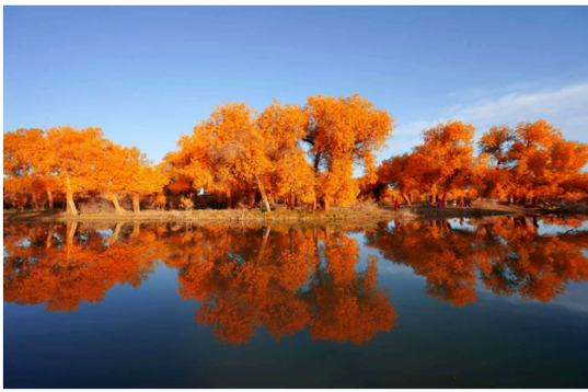 阿拉善盟旅游景点排名有哪些？-第3张图片-星月文旅