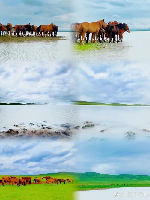 重庆内蒙古自驾游攻略与路线分享？-第1张图片-星月文旅