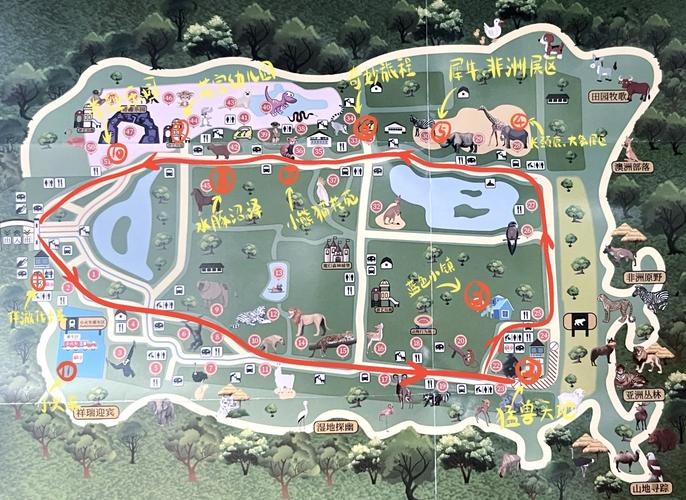 北京野生动物园怎么玩最尽兴？-第1张图片-星月文旅