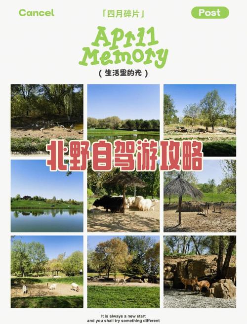 北京野生动物园怎么玩最尽兴？-第3张图片-星月文旅