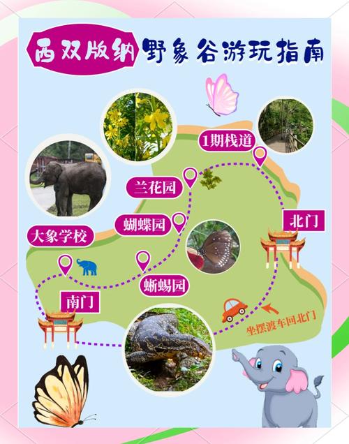 西双版纳野象谷怎么玩最尽兴?-第1张图片-星月文旅 西双版纳野象谷怎么玩最尽兴?-第1张图片-星月文旅