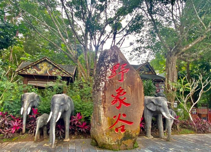 西双版纳野象谷怎么玩最尽兴?-第2张图片-星月文旅 西双版纳野象谷怎么玩最尽兴?-第2张图片-星月文旅