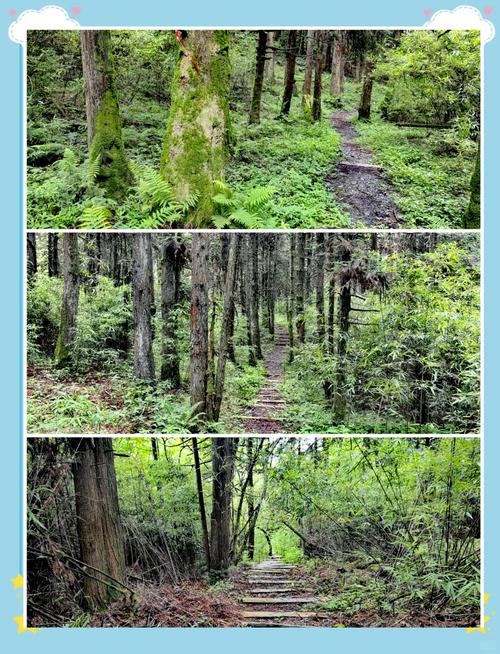 重庆武隆仙女山旅游怎么玩最尽兴？-第3张图片-星月文旅