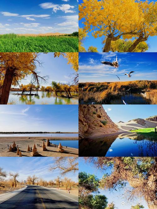 西安-阿拉善盟自驾游-第2张图片-星月文旅