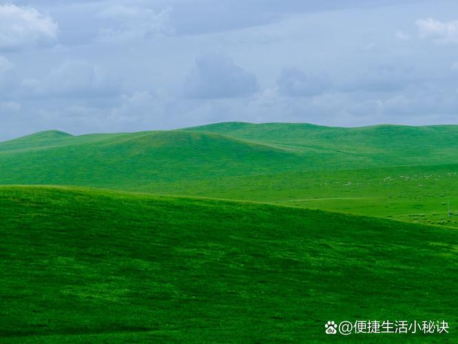 蠡县到锡林郭勒自驾游怎么规划路线？-第2张图片-星月文旅