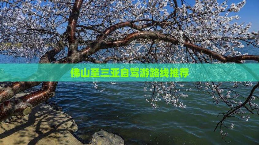 佛山到三亚自驾游线路怎么规划?-第1张图片-星月文旅 佛山到三亚自驾游线路怎么规划?-第1张图片-星月文旅