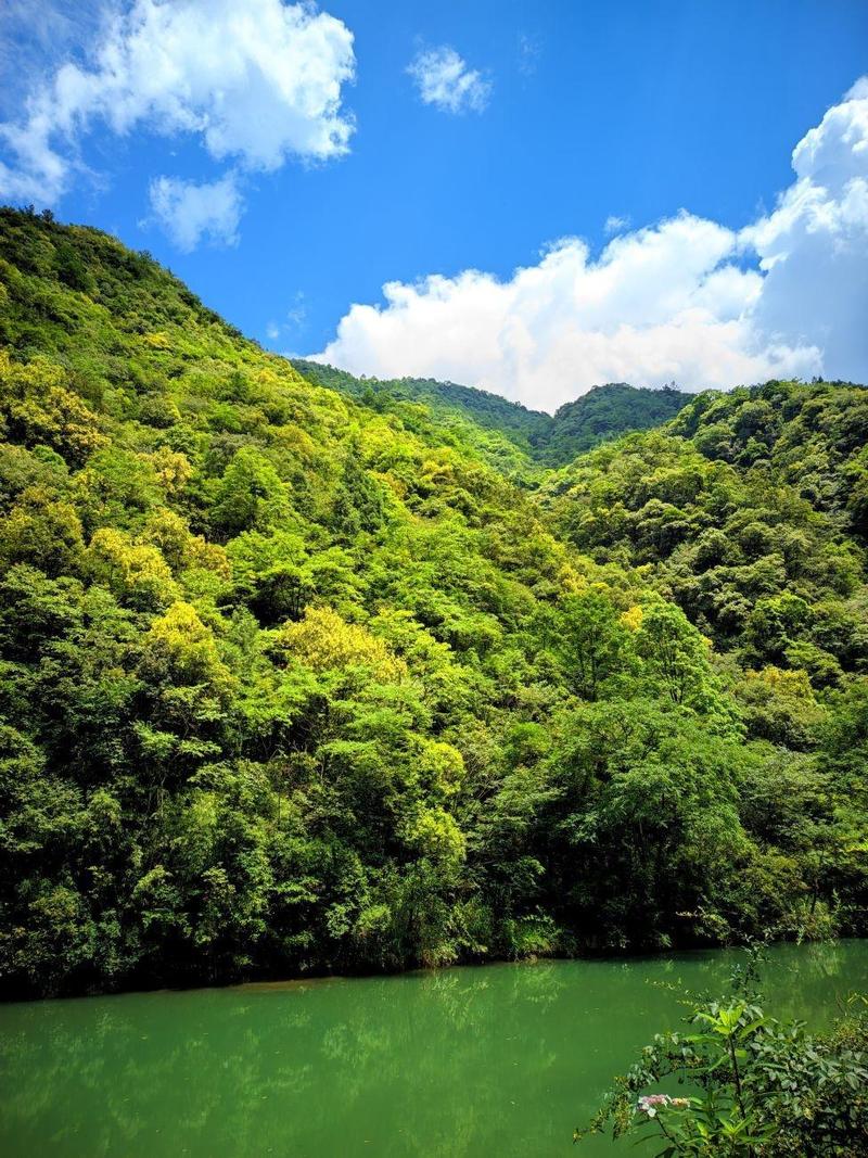 景德镇去鸳鸯湖自驾游怎么走？-第1张图片-星月文旅