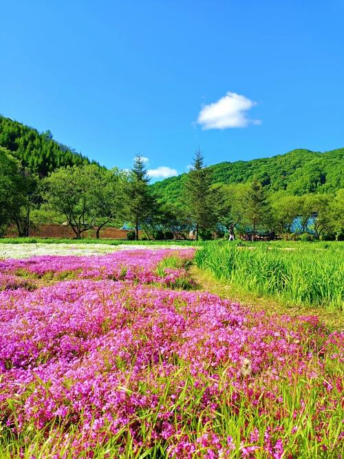 8月吉林市周边自驾游去哪玩？-第1张图片-星月文旅