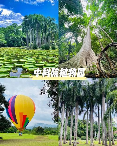 12月去西双版纳怎么玩？攻略看这里！-第2张图片-星月文旅