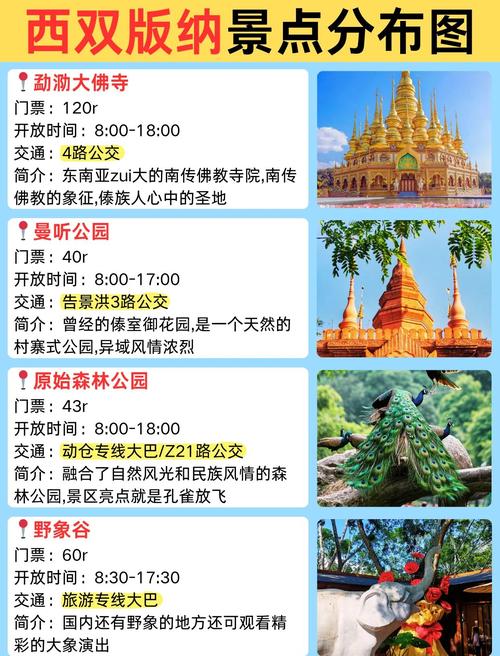 12月去西双版纳怎么玩？攻略看这里！-第3张图片-星月文旅