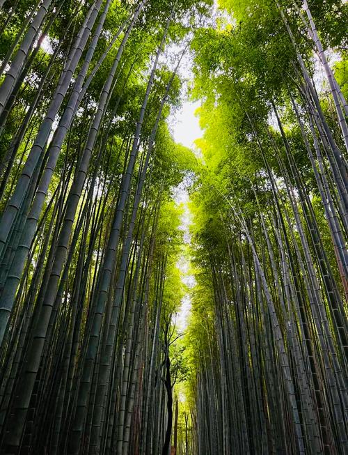 大阪自由行攻略，必去景点怎么安排？-第3张图片-星月文旅