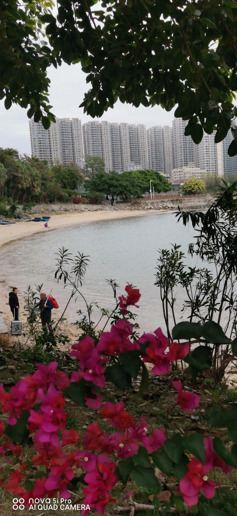 惠州海边景点知多少？-第2张图片-星月文旅