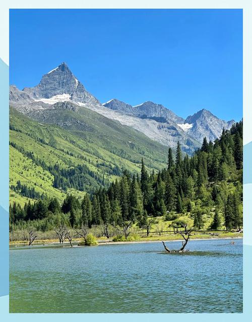 重庆到四川春季自驾游，路线怎么选？-第1张图片-星月文旅