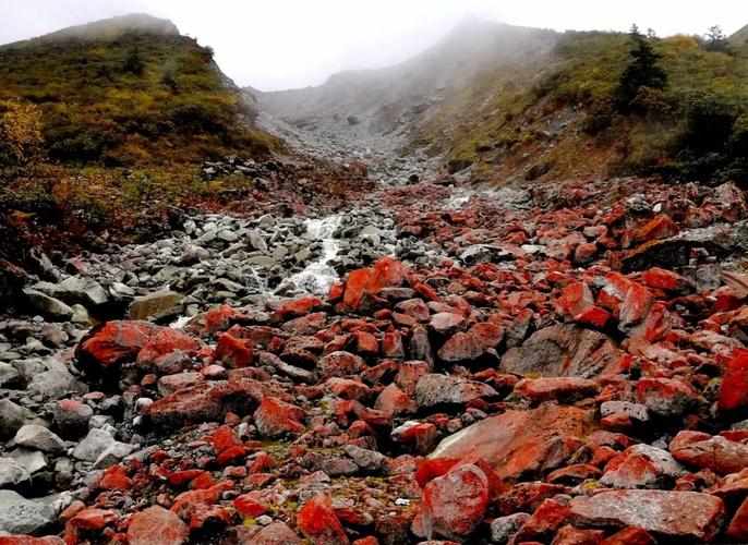 重庆到四川春季自驾游，路线怎么选？-第3张图片-星月文旅