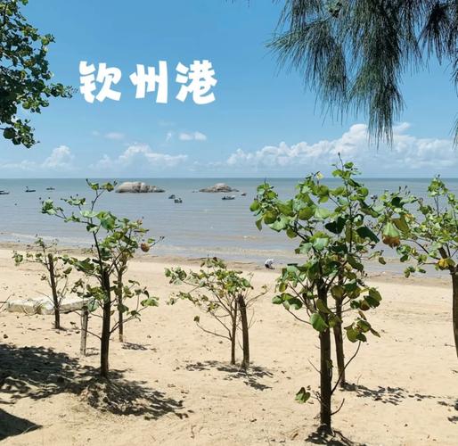 钦州有哪些值得一游的景点？-第2张图片-星月文旅