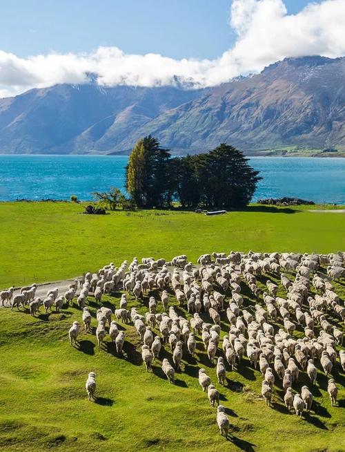 新西兰旅游景点排名有哪些必打卡？-第1张图片-星月文旅