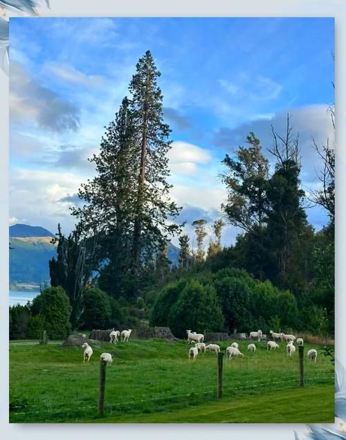 新西兰旅游景点排名有哪些必打卡？-第2张图片-星月文旅