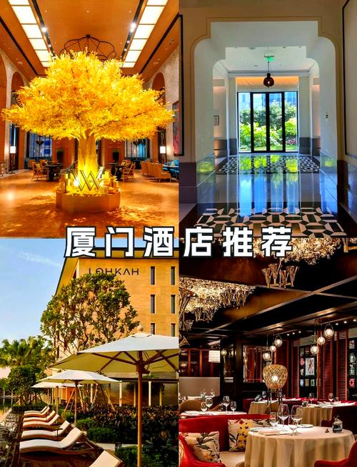 厦门鼓浪屿住宿怎么选?攻略推荐哪些?-第1张图片-星月文旅 厦门鼓浪屿住宿怎么选?攻略推荐哪些?-第1张图片-星月文旅