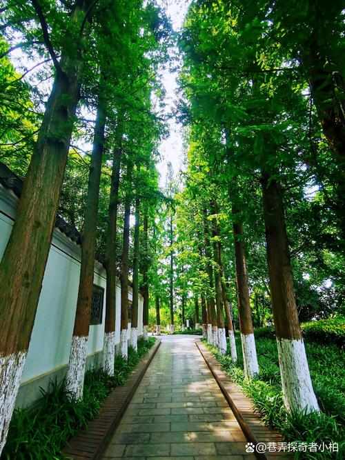 马鞍山周边自驾游去哪玩?-第3张图片-星月文旅 马鞍山周边自驾游去哪玩?-第3张图片-星月文旅