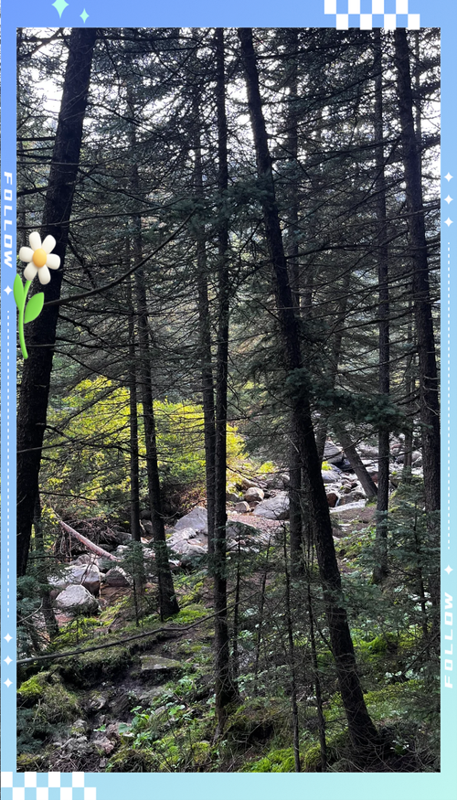 五寨荷叶坪自驾游怎么玩最尽兴?-第1张图片-星月文旅 五寨荷叶坪自驾游怎么玩最尽兴?-第1张图片-星月文旅