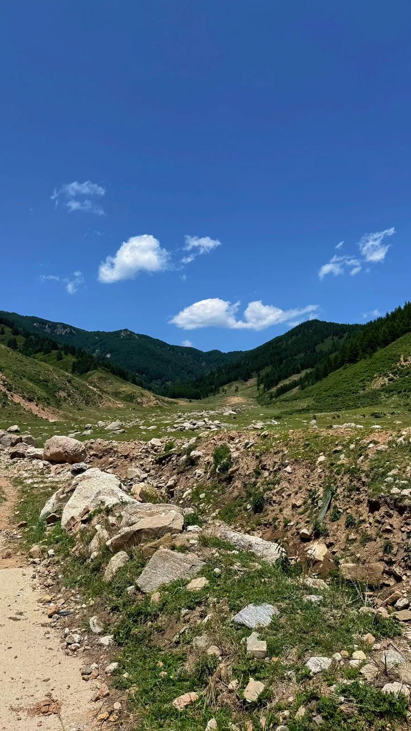 五寨荷叶坪自驾游怎么玩最尽兴?-第2张图片-星月文旅 五寨荷叶坪自驾游怎么玩最尽兴?-第2张图片-星月文旅