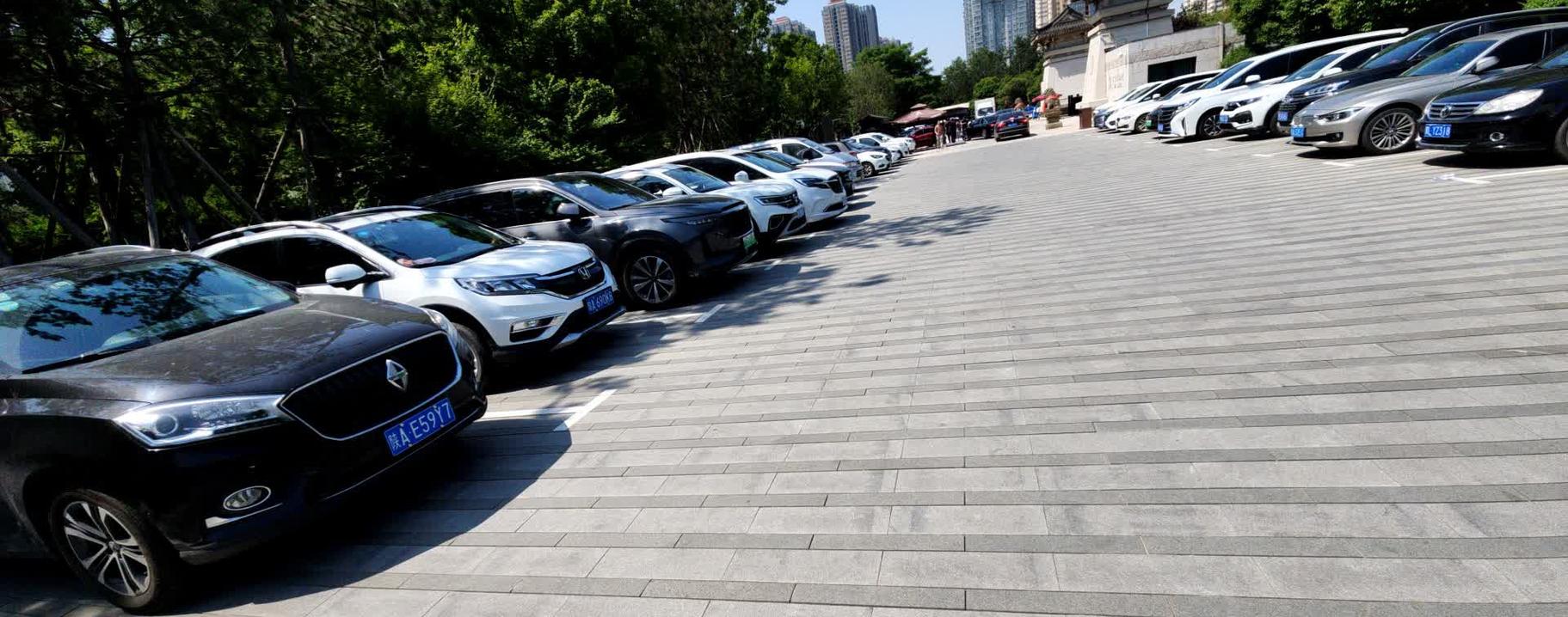 乐山大佛自驾游停车场怎么选?-第1张图片-星月文旅 乐山大佛自驾游停车场怎么选?-第1张图片-星月文旅