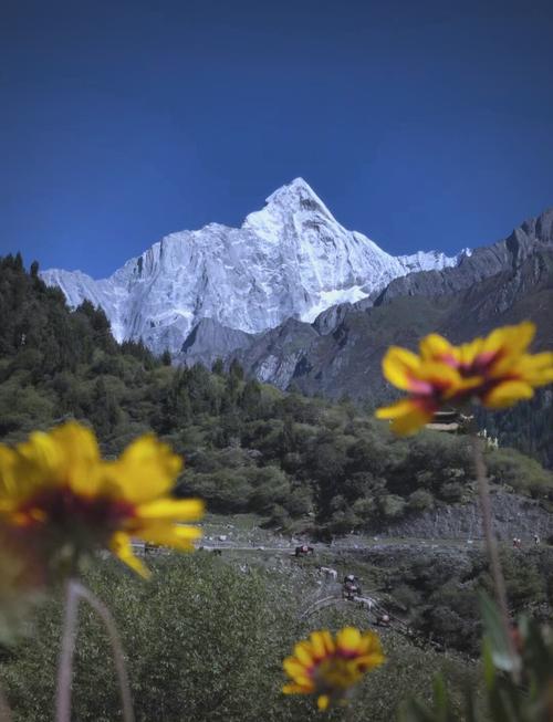 广元到四姑娘山自驾游路线怎么走?-第3张图片-星月文旅 广元到四姑娘山自驾游路线怎么走?-第3张图片-星月文旅