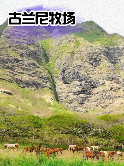 火奴鲁鲁旅游怎么玩?攻略有哪些必打卡?-第1张图片-星月文旅 火奴鲁鲁旅游怎么玩?攻略有哪些必打卡?-第1张图片-星月文旅