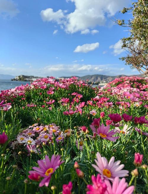 大理自驾游，住哪里最方便又舒服？-第3张图片-星月文旅