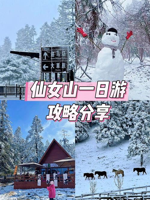 夏天仙女山自驾游怎么玩最尽兴?-第1张图片-星月文旅 夏天仙女山自驾游怎么玩最尽兴?-第1张图片-星月文旅