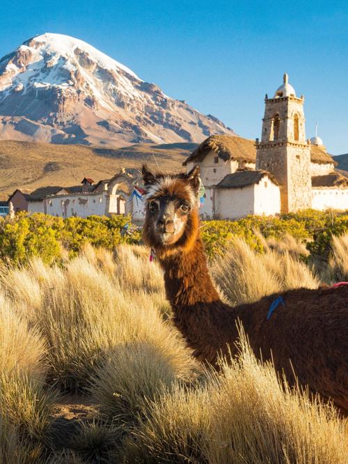 玻利维亚旅游购物必买清单及攻略是什么?-第2张图片-星月文旅 玻利维亚旅游购物必买清单及攻略是什么?-第2张图片-星月文旅