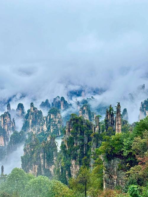 张家界自驾游有哪些必打卡景点?-第1张图片-星月文旅 张家界自驾游有哪些必打卡景点?-第1张图片-星月文旅