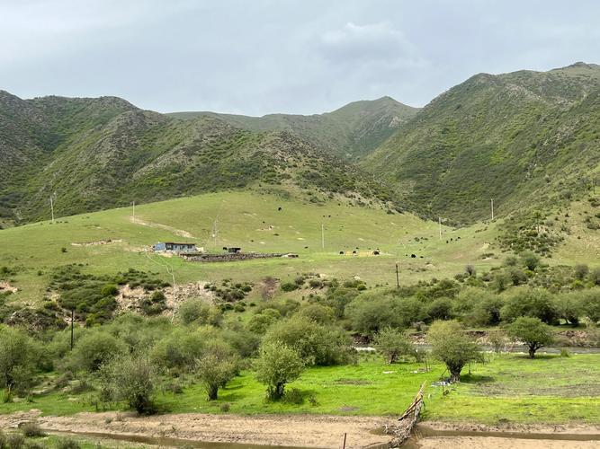 临洮自驾去桑科草原，路线怎么走？沿途有哪些必看美景？-第3张图片-星月文旅