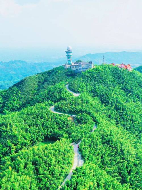 黑麋峰森林公园自驾游怎么玩最尽兴?-第2张图片-星月文旅 黑麋峰森林公园自驾游怎么玩最尽兴?-第2张图片-星月文旅