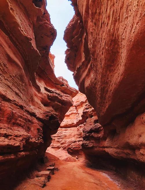 巴彦淖尔周边自驾游去哪玩?-第1张图片-星月文旅 巴彦淖尔周边自驾游去哪玩?-第1张图片-星月文旅