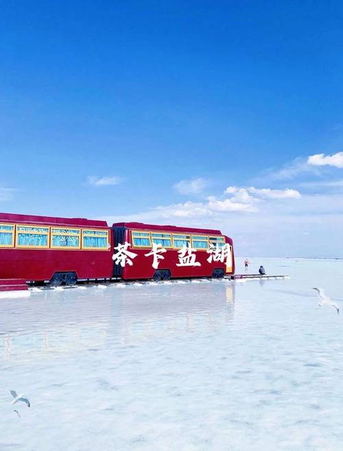 青海湖茶卡盐湖自驾游怎么玩最尽兴？-第2张图片-星月文旅