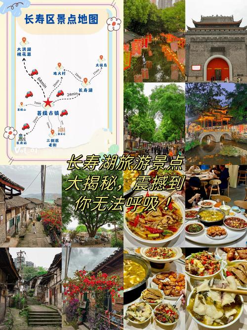 长寿路线怎么选?有哪些必打卡景点?-第1张图片-星月文旅 长寿路线怎么选?有哪些必打卡景点?-第1张图片-星月文旅