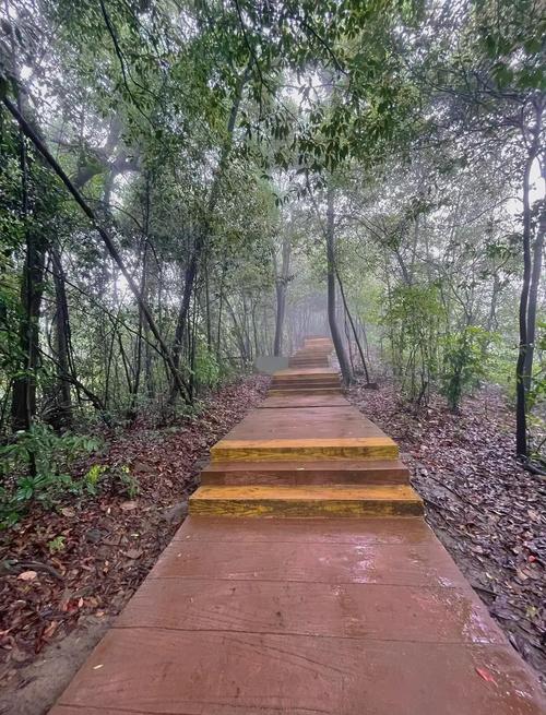 韶关三天自驾游路线怎么安排？-第2张图片-星月文旅